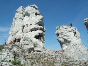 DSCF8536 DSCF8536